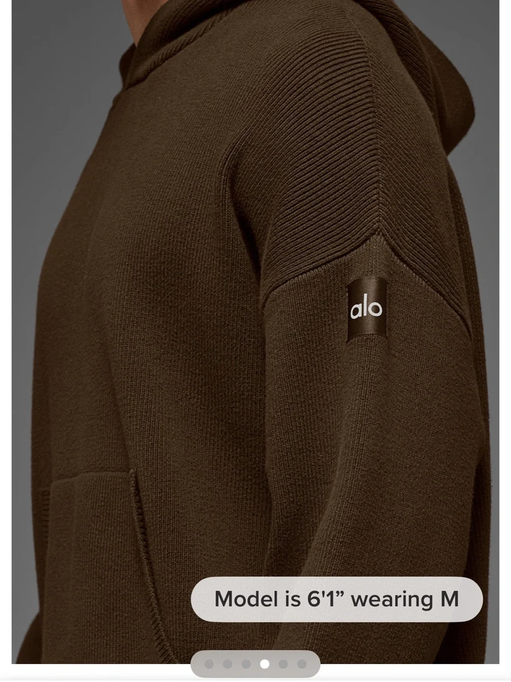 ALO Yoga Oversized Knit Hoodie in Dark Brown